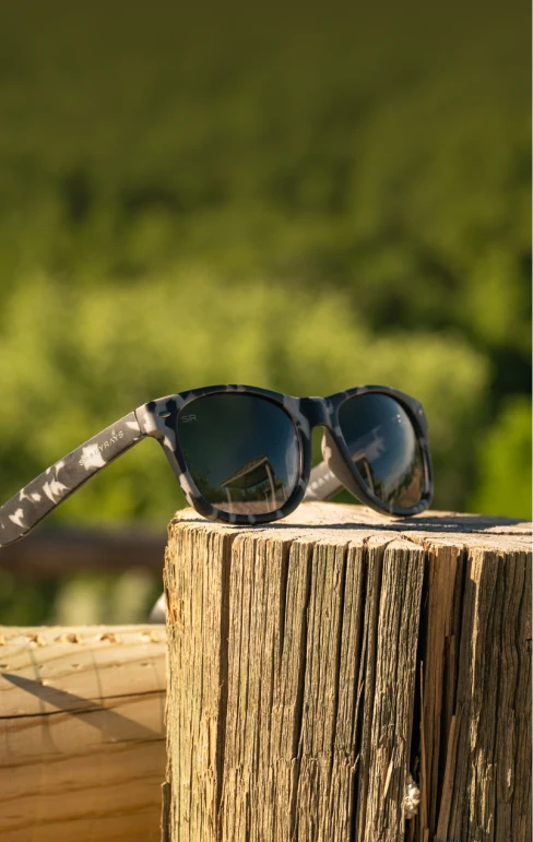 Classic sunglasses